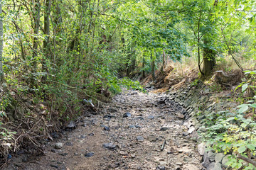 Fototapeta premium Bed of a dried out creek in the west of Frankfurt am Main