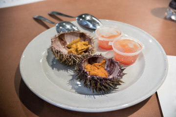 Coocked sea urchins on the plate - served with sauce