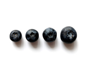 Blueberry on white background top view with copy space.