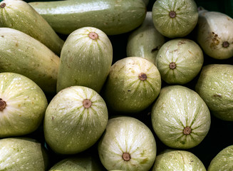 Zucchini squash in the supermarket