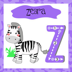 Fototapeta na wymiar Letter Z uppercase cute children colorful zoo and animals ABC alphabet tracing flashcard of Zebra for kids learning English vocabulary and handwriting 