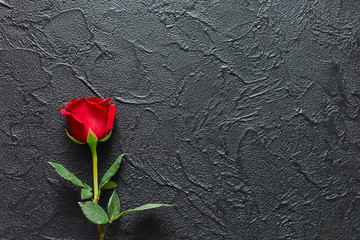 Red rose on a black background, stone. A condolence card. Empty space for emotional, quotes or...
