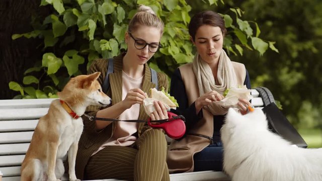 Medium shot of two female owners sitting on bench in park with sandwiches, feeding dogs sitting nearby and eating themselves