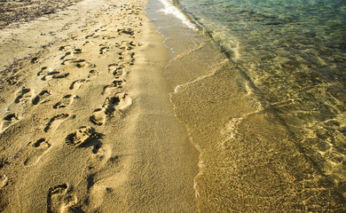 sand beach textured surface with human foot prints along sea wavy transparent blue water shoreline natural scenic background view 