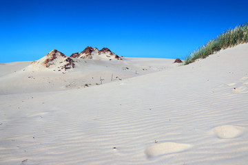 Slowinski National Park is situated on the Baltic Sea coast, near Leba, Poland. Desert landscape...