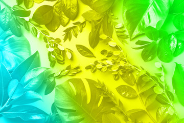 Creative layout made of tropical leaves in trendy neon colors. Rainbow gradient background. Flat lay. Top view. Mock up