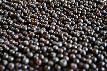 Background of fresh ripe bilberries