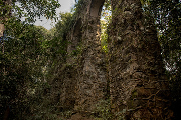 Aqueduct ruins in ilha grande RJ with a lot of green plants