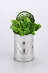 tin of fresh spinach isolated in white background