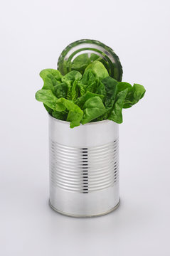 tin of fresh spinach isolated in white background