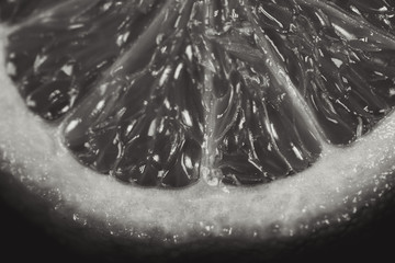 Closeup macro photo of lime sliced on dark background freshly sliced green lime front view in black and white
