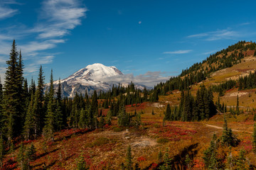 Fall Colors Along Mountain in Front of Mount Rainier