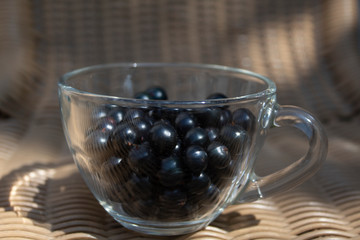 Black currant close-up in a transparent cup. There is a place for text, copy space. Background, banner, postcard.
