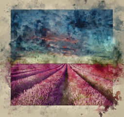 Digital watercolour painting of Vibrant Summer sunset over lavender field landscape