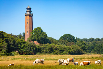 Neuland lighthouse at Behrensdorf, Germany