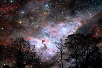 Fototapeta na wymiar blur galaxy on night cloud sunset sky silhouette branch and tree