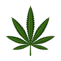 Marijuana, Cannabis leaf icon on white background