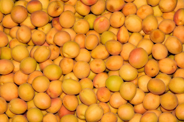 Ripe apricots on the market. Background of apricots close-up.