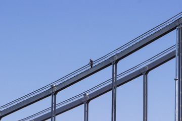 On the pedestrian bridge is a man. Part of the frame. Blue sky background