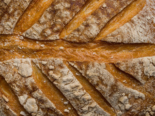 Close up roasted bread background texture. Macro photo, close up
