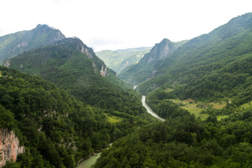 Naklejka premium The amazing landscape of the Tara canyon and Tara River in northern Montenegro, Zabljak