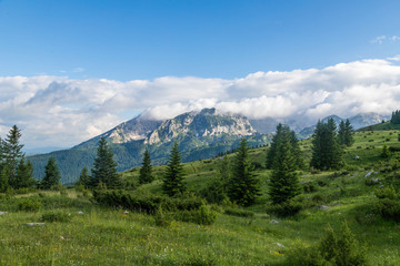 wonderful landscape of Montenegro mountains with blue sky white clouds and green firs in Durmitor park
