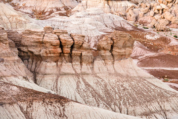 Petrified Forest National Park Rock Formation