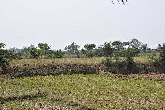 A very beautiful village of  india
