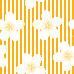 Obraz premium Seamless striped vector tropical pattern. Plumeria, frangipani. Seamless exotic vector beach wallpaper.