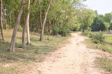 A very beautiful village of  india