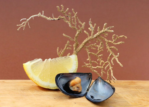 mussels