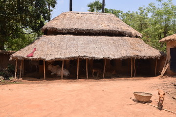 Fototapeta na wymiar indian village house