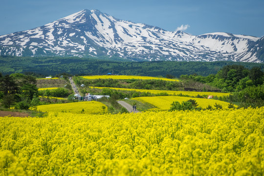 3 7 最適な 鳥海山 画像 ストック写真 ベクター Adobe Stock 3 7 最適な 鳥海山 画像 ストック写真 ベクター Adobe Stock