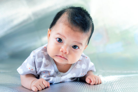 Southeast Asian new born is creeping on the floor. Newborn is wearing gray shirt. Baby is South East Asian. Kid is cute. Child is taking photo indoor. Infant is 4 months. - People, Health care concept