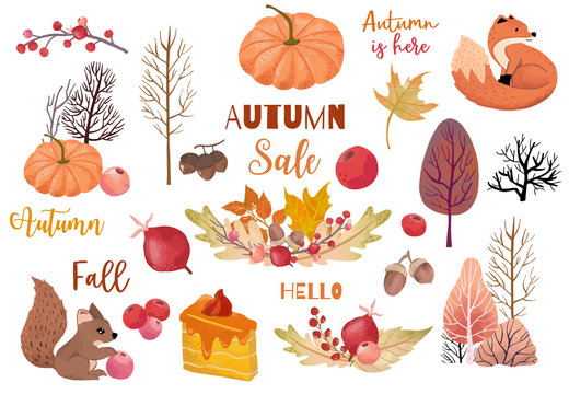 Autumn object collection with dry tree,squirrel,acorn,leaves.Illustration for sticker,postcard,invitation,element website.Included hello fall and autumn sale wording