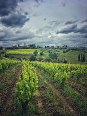 Fototapeta na wymiar Views of the wonderful Tuscany