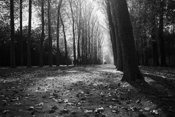 Versailles Palace Gardens