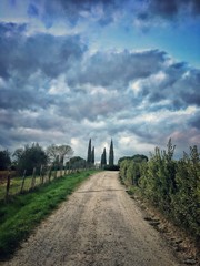 Fototapeta na wymiar Views of the wonderful Tuscany