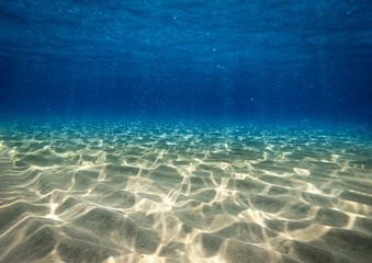 Naklejka premium Underwater background with ocean water. At the bottom of the sea.