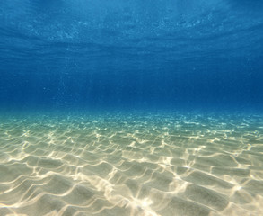 Underwater background with ocean water. At the bottom of the sea.