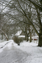 Naklejka premium Zimowa scena w Wiltshire, The Deverilles.