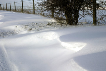 Obraz premium Winter scene in Wiltshire, The Deverilles .