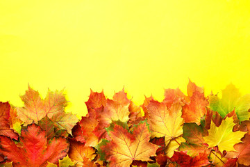 Autumn background. Season and weather concept. Colorful autumn leaves on yellow paper with copy space. Cozy fall mood.