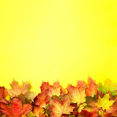 Naklejka na ściany i meble Colorful autumn leaves on yellow paper with copy space. Cozy fall mood. Season and weather concept. Autumn background