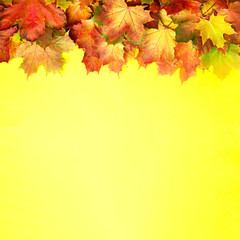Naklejka na ściany i meble Colorful autumn leaves on yellow paper with copy space. Cozy fall mood. Season and weather concept. Autumn background