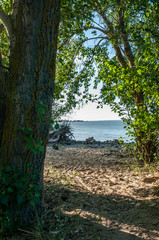 river, beach and trees on a summer evening