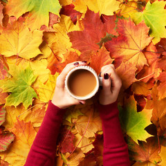 Autumn flat lay. Female hands with cup of coffee over colorful maple leaves background. Top view. Autumn season concept
