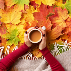 Autumn flat lay. Female hands with cup of coffee over colorful maple leaves background. Top view. Season concept. Square crop