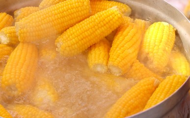 Boiled corn at the market