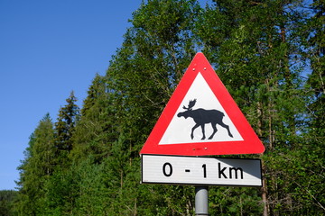 Elk Road warning sign in Norway